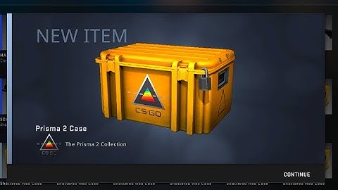 [CS:GO OPENING] NEW PRISMA 2 CASE!