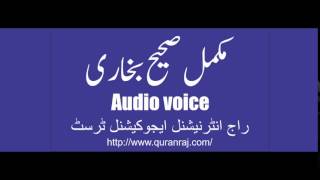 Sahih Bukhari Hadees No 4906