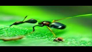 cursed DALL-e mini images 9