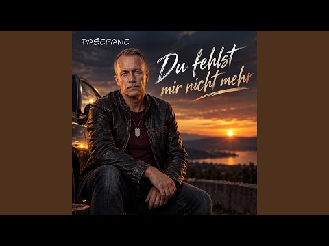 Du fehlst mir nicht mehr