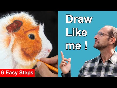 25 Years Teaching Art! How to Draw Animals with Pastels - Step by Step