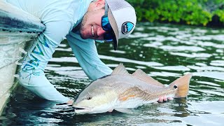 Redfish MADNESS in Pine Island Sound