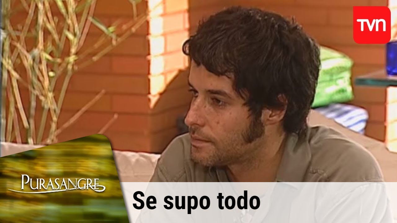 Se supo todo | Purasangre - T1E90 dramamine precio