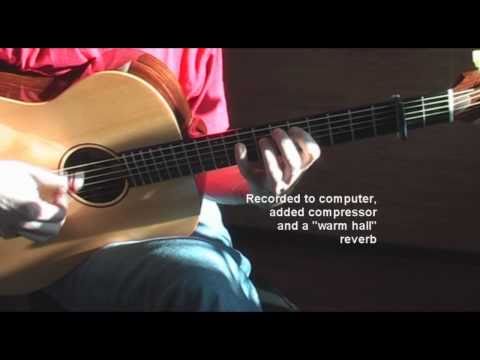 აკუსტიკური გიტარის პიკაპი MiniFlex. დემო.