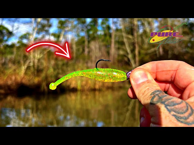 THIS Saltwater Lure Just CATCHES Fish! 