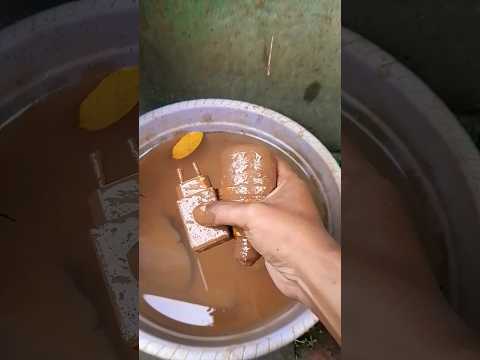 A RAM SAM SAM chiki toodz🍉🍭🍓🍎🍅#shortvideo#yutubeshorts#cutebabyfunn#cute#samayranarula