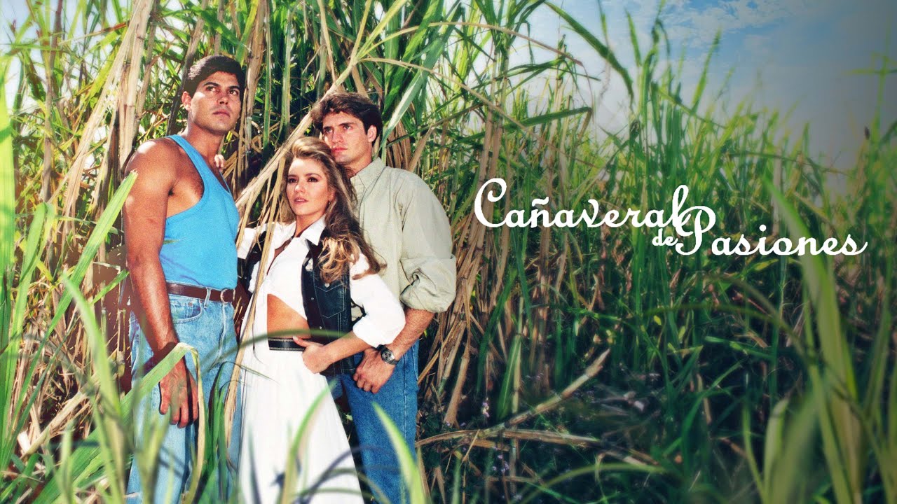 Cañaveral de pasiones (1996): Todas las cachetadas