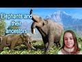 Presentation "Animals then and now" • Elephants and their ancestors