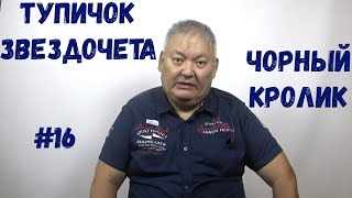 Тупичок Звездочета #16 Чорный Кролик