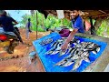 Amazing beautiful village street fishmarket live speed fish cutter in sri lanka