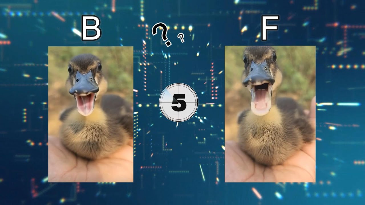 Duck Ai vs real game / Can you spot the fake Duck?