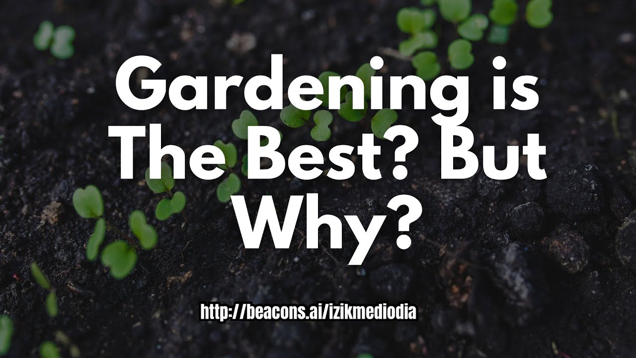How I Turned My Gardening Hobby Into a Sustainable Lifestyle (Just Copy Me)