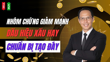 Nhóm Chứng Khoán Rơi Mạnh: Dấu Hiệu Xấu Hay Chuẩn Bị Tạo Đáy?