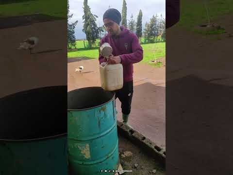 حين يهدي الشتاء ماءه نعمة ت جمع لتخدم أيامنا