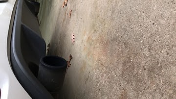 MK6 GTI Cold Start- CTS Turbo Downpipe & 42DD Resonator Delete