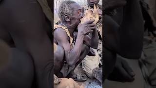 Download Lagu Their ancestral traditions - Hadzabe Tribe #hadzabetribe #hadzabe #feedshorts MP3