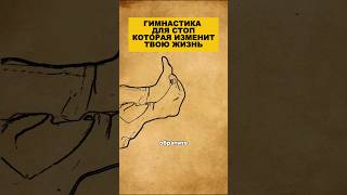 Гимнастика для стоп, которая изменит твою жизнь #здоровье #долголетие #массаж #упражнения #стопы