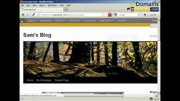 How to Create A Password Protected Or Private Post - WordPress Tutorial 30