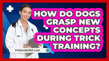 How Do Dogs Grasp New Concepts During Trick Training? - PetGuide360.com