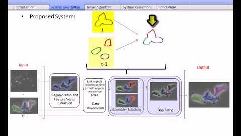 Hierarchical Partial Matching and Segmentation of Interactin