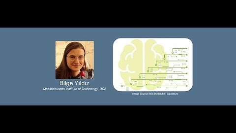 Energy-Efficient Hardware for Brain-inspired Computing: Artificial Synapses | Bilge Yildız