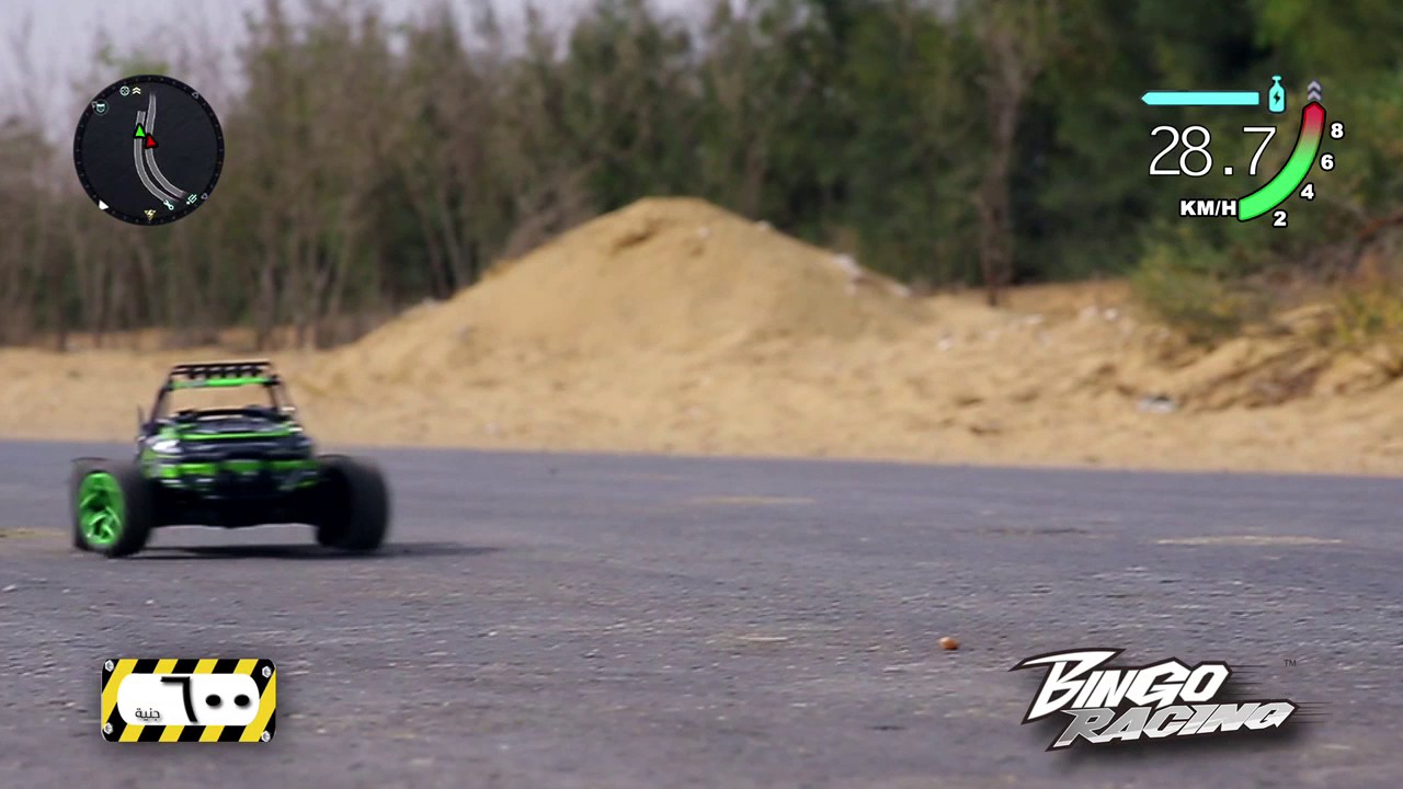 BINGO RACING CARS - YouTube