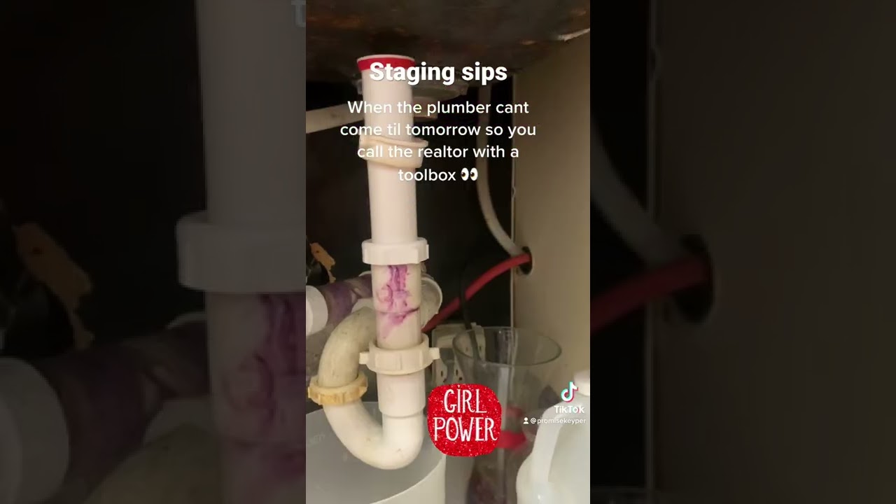 Sink Repair Sip