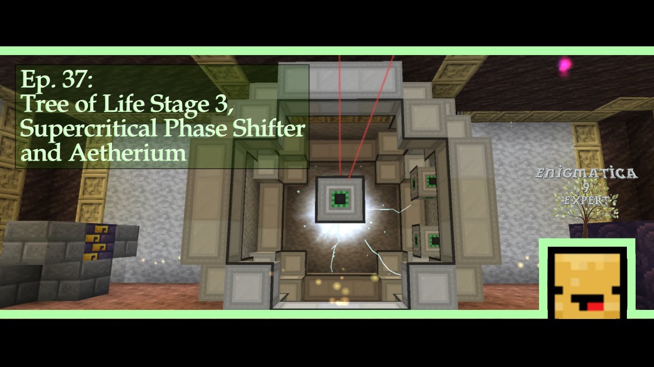 E9e Enigmatica 9: Expert | Tree of Life Stage 3, Supercritical Phase ...
