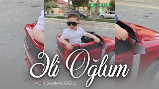 Tacir Şahmalıoğlu — Əli Oğlum (Rəsmi Audio)