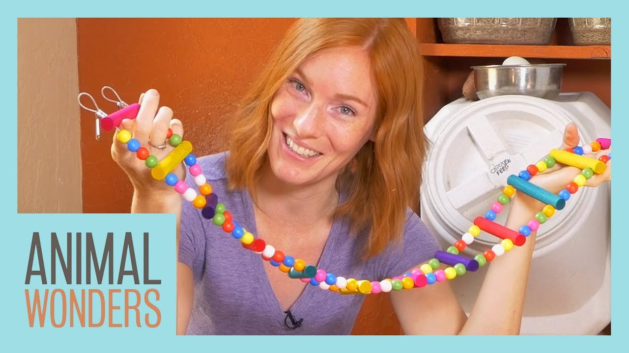 Unboxing Plus! Updates