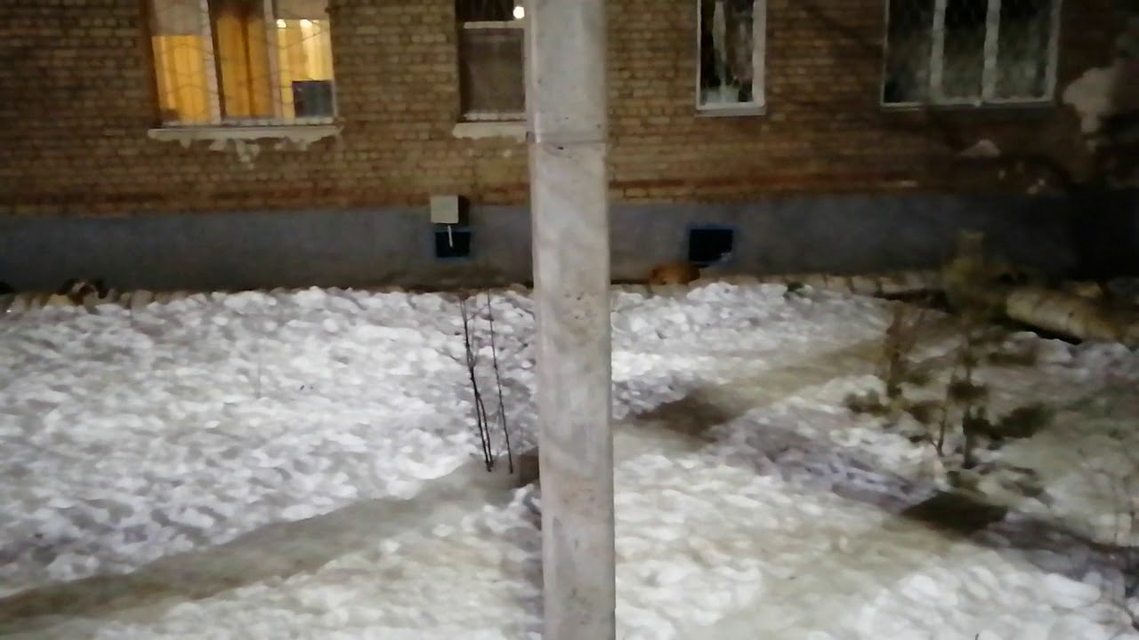 Сытый, голодному не товарищ. - YouTube