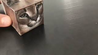 Paper floppa