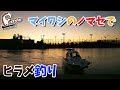マイワシのノマセでヒラメ釣り