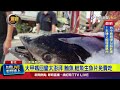 大甲媽回鑾