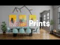 Learn & Explore: Metal Prints