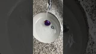 Bathtub Filling ASMR Short // Sink Fill with Purple Duck #watersounds #rubberducks