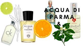 Acqua di Parma Colonia и сравнение с другими подобными ароматами CK One, 4711, Farina - Видео от Natalia P