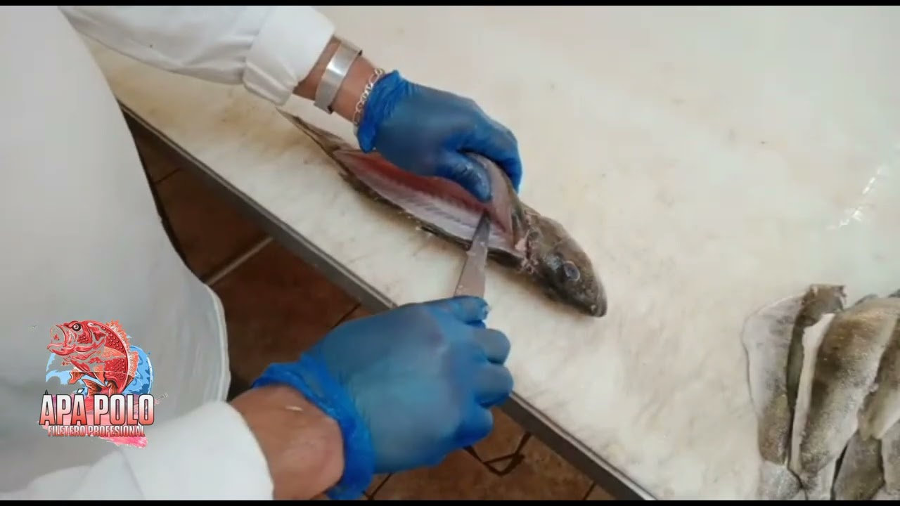 COMO SACARLE EL FILETE - CABRILLA VERDILLO
