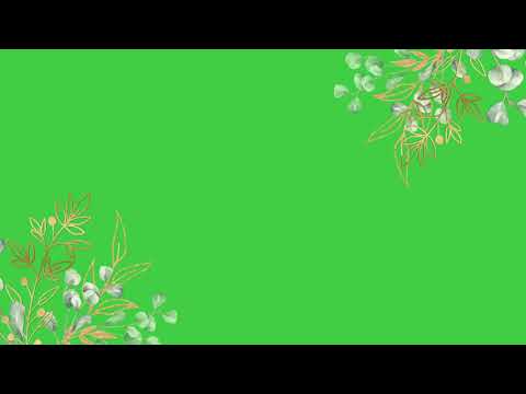 Green Screen Daun1|Floral
