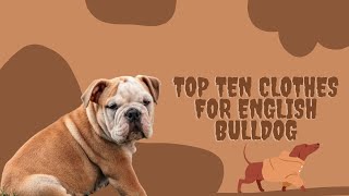 Top ten clothes for English Bulldog | The 10 Best Clothes for Your Furry Friend | Pet Knowledge Zone by Pet Knowledge Zone 26 views 1 year ago 3 minutes, 45 seconds