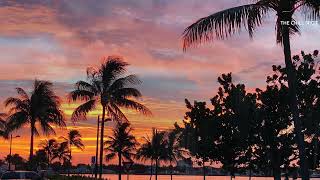🌅 Tropical Sunset Paradise | Soothing Palm Trees and Ocean Glow | Relaxing Beach Vibes