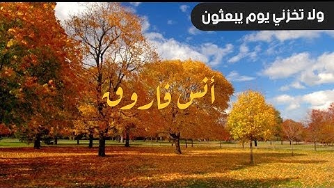 ولا تخزني يوم يبعثون||تلاوة تريح القلب و الروح للقارئ أنس
