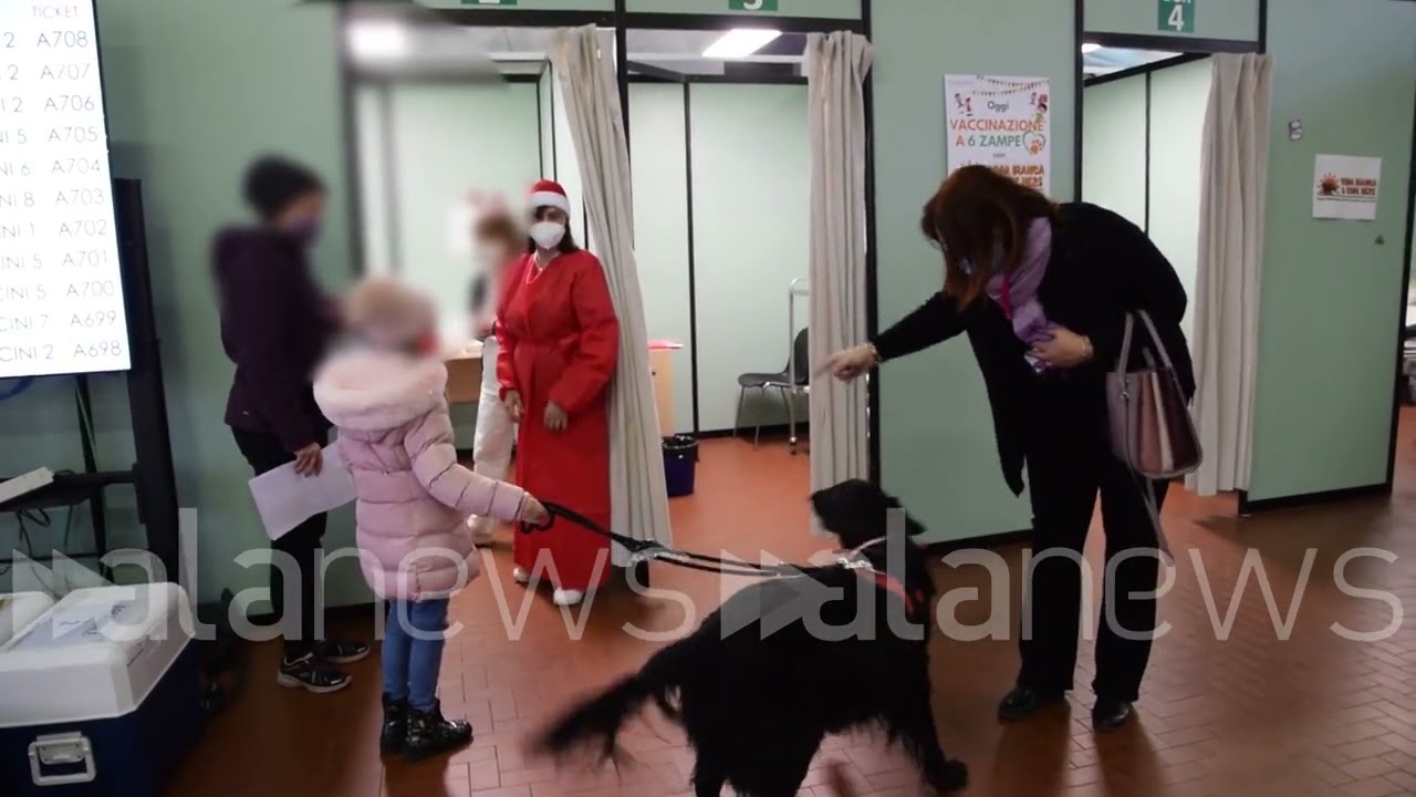 CV, a Piacenza i bambini vincono la paura del vaccino con i cani