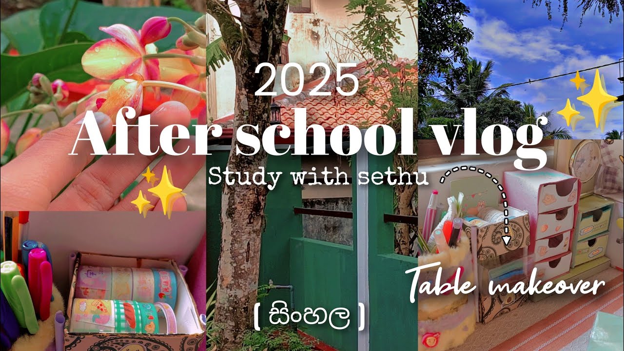 🧸:-) 🅐🅕🅣🅔🅡 🅢🅒🅗🅞🅞🅛 🅥🅛🅞🅖 🅑🅨  🅢🅔🅣🅗🅤 🏫 (සිංහල) 𝒈𝒓𝒂𝒅𝒆 𝟎𝟗 ✨ sɪᴄᴋ ᴠʟᴏɢ🤒 ғᴏᴏᴅs 🍛