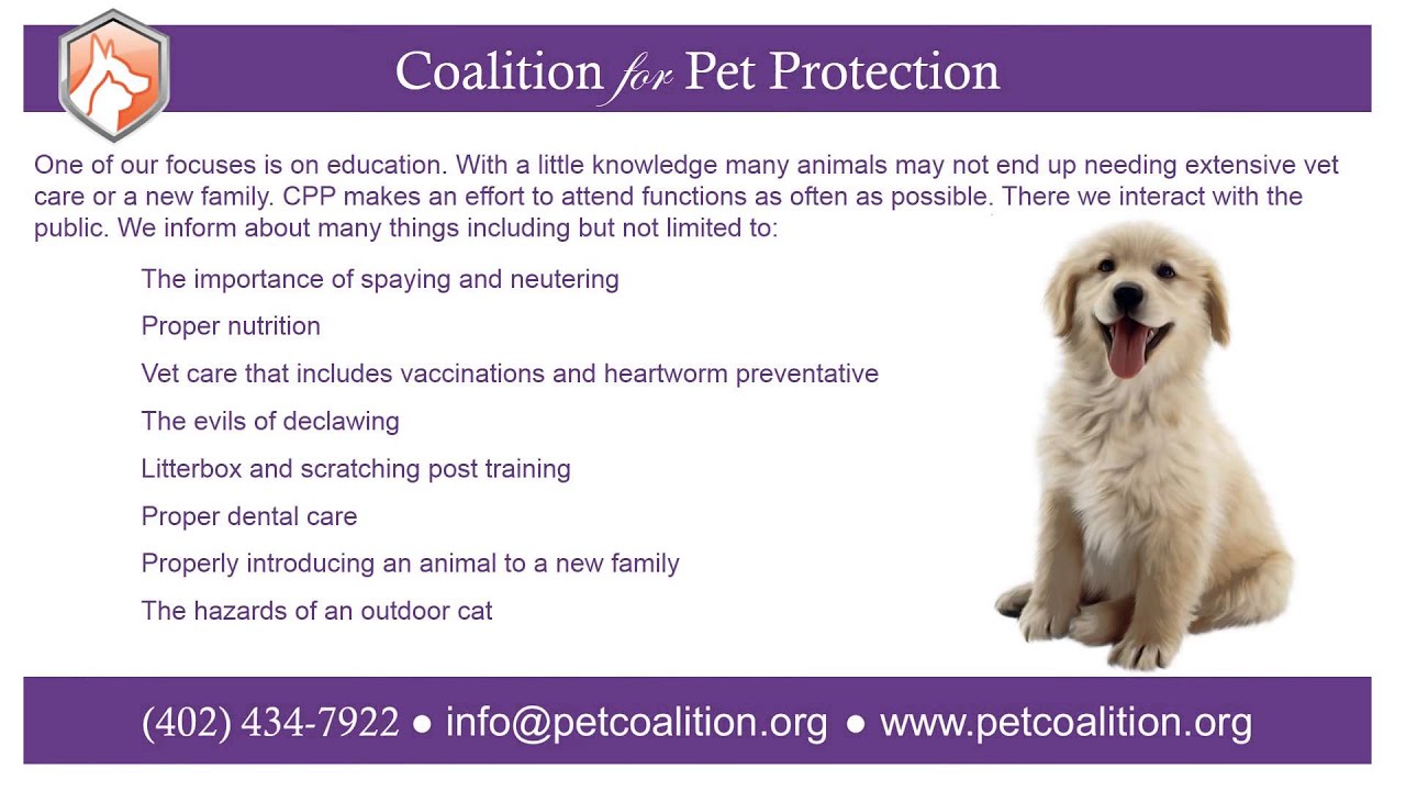 cpp pet care