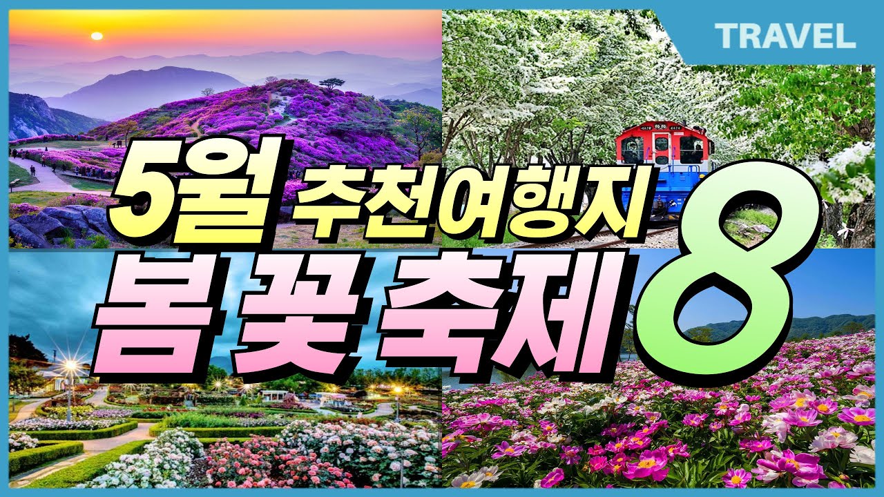 5월 대한민국 꽃 축제 총정리 봄의 향연 속으로! , 놓치면 후회할 5월여행지 추천, 5월 가볼만한 여행지, 5월 여행지 8곳 ...