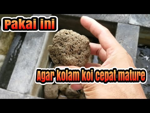 Video: Batu Apung Juga Berguna Di Ladang