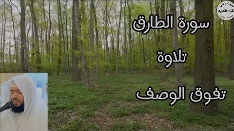 سورة الطارق... تلاوة تفوق الوصف.... للقارئ وديع اليمني