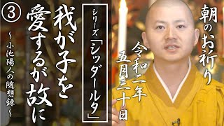 我が子を愛するが故に（ シッダールタ３）：朝のお祈り(2020/05/30)