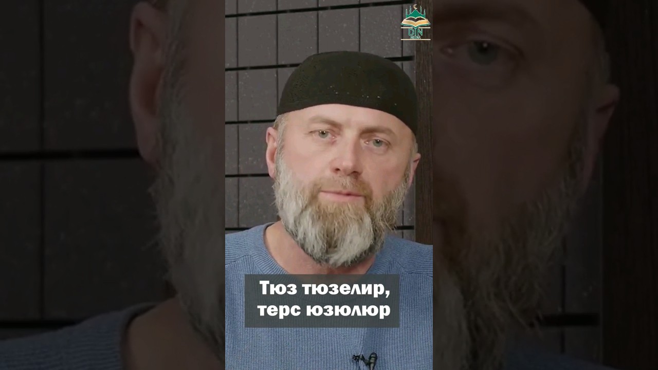 Тюз тюзелир, терс юзюлюр! Кёб джараулу бериулерибизни каналыбызда ...